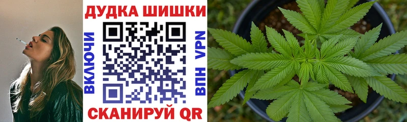 Бошки Шишки планчик  Высоковск 